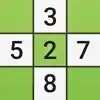 Amazing Sudoku